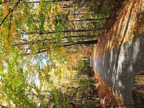 Molly Stark State Park-Marlboro必去景点