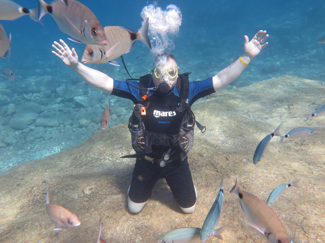 Mermaid Diving Club景点图片