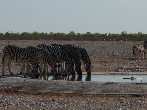 Dunas Safari-温德和克必去景点