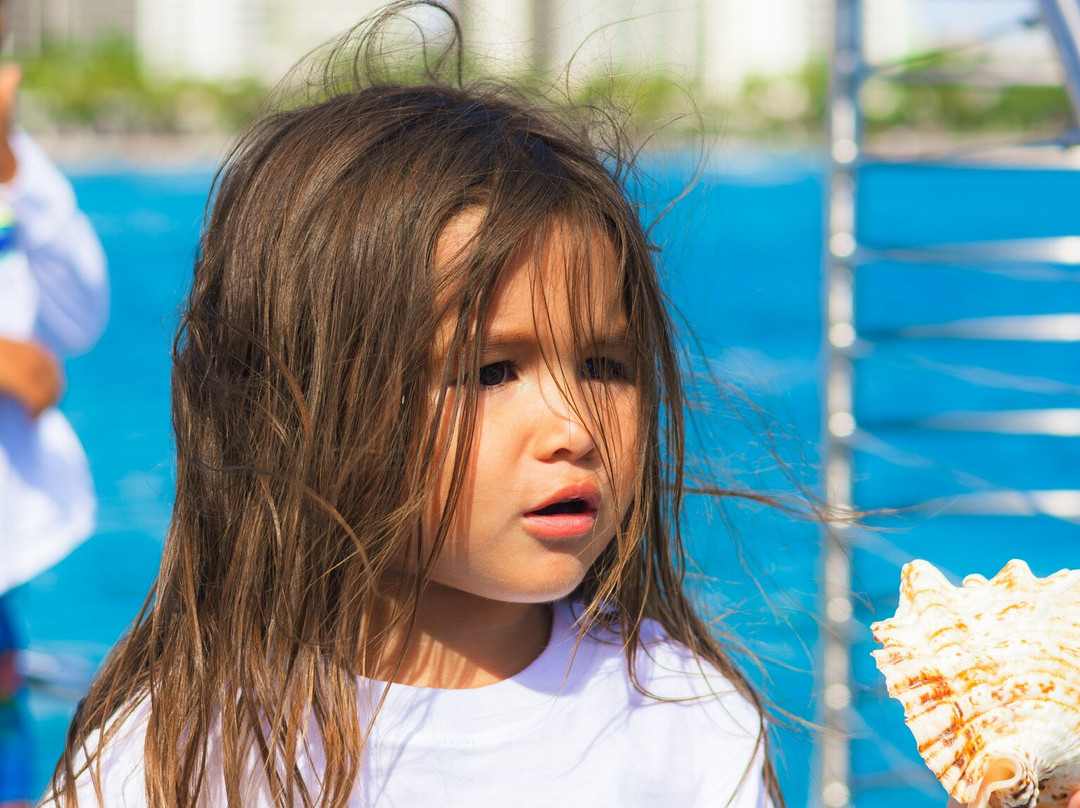 Waikiki Sailing Company-火奴鲁鲁必去景点