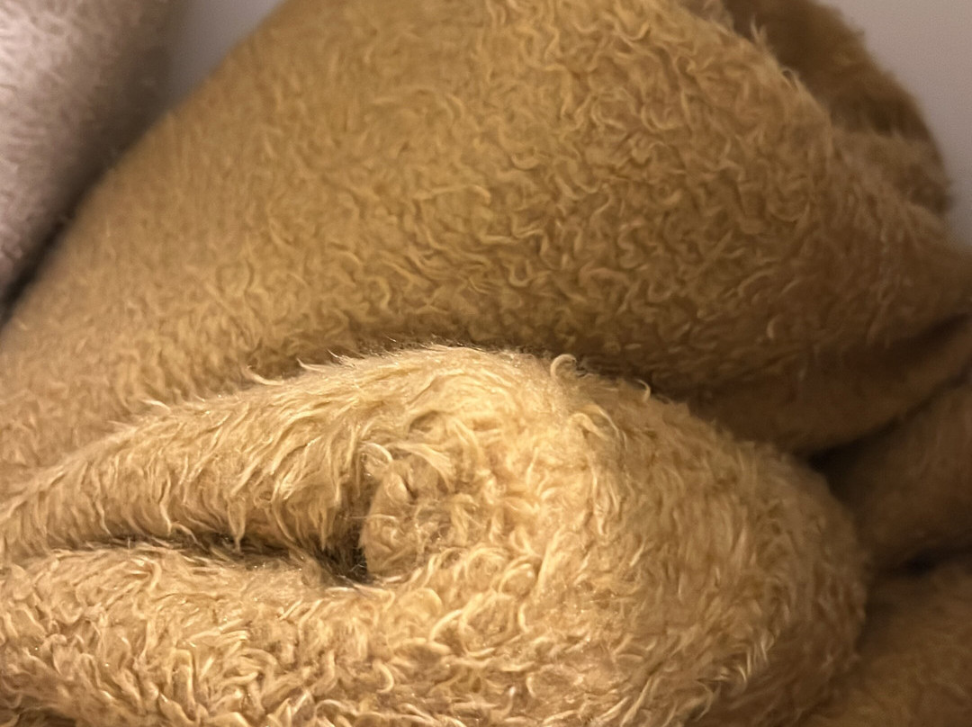 意大利贝拉酒店主图