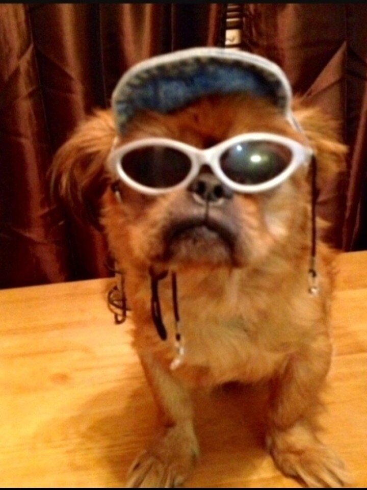 Motel 6 Webster, TX - Houston - Nasa Lake-官方