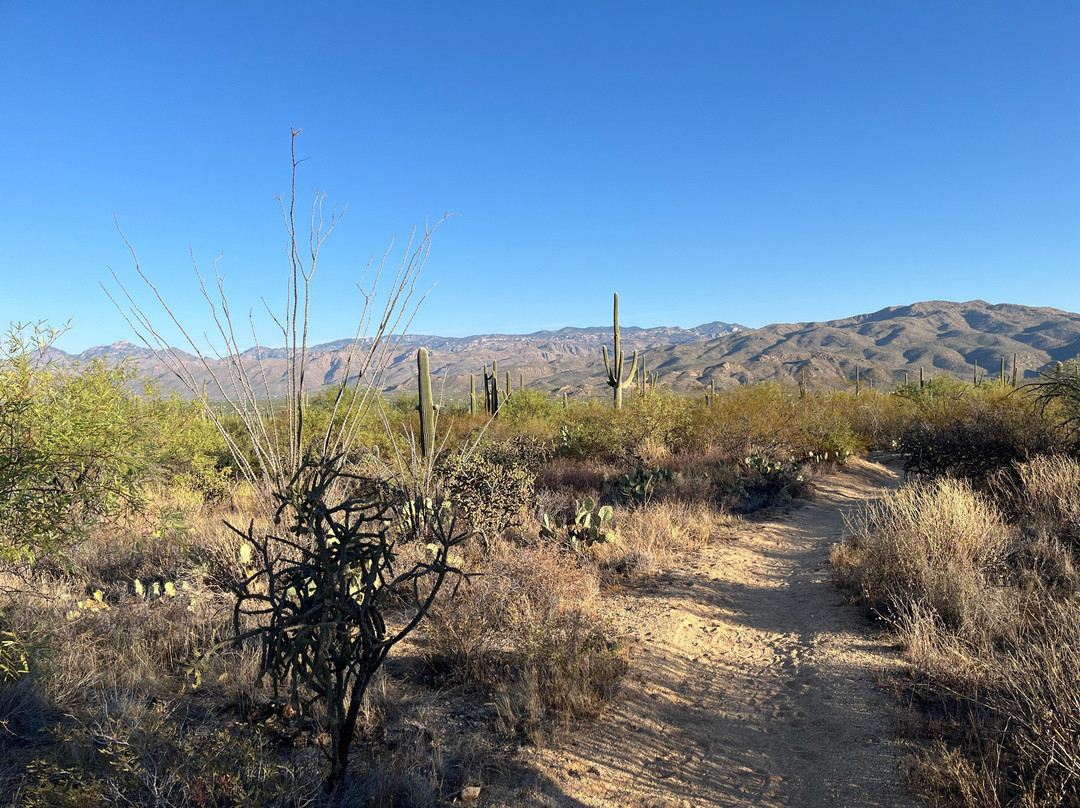 Desert Trails Bed and Breakfast主图