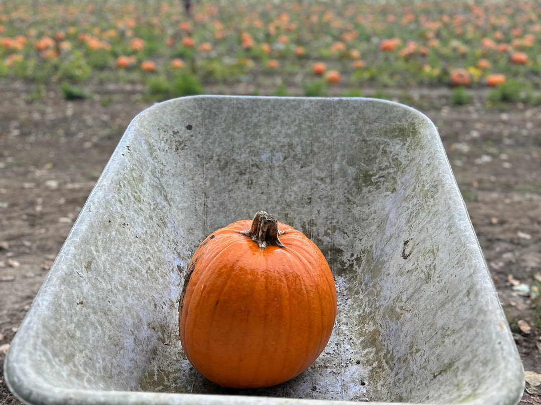 Stanhill Farm Kent-Wilmington必去景点