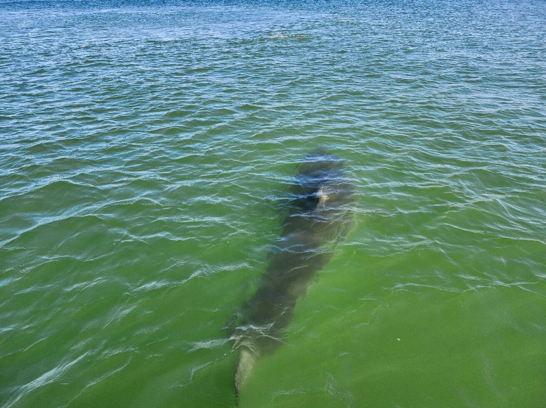 Monomoy Sportfishing-查塔姆必去景点