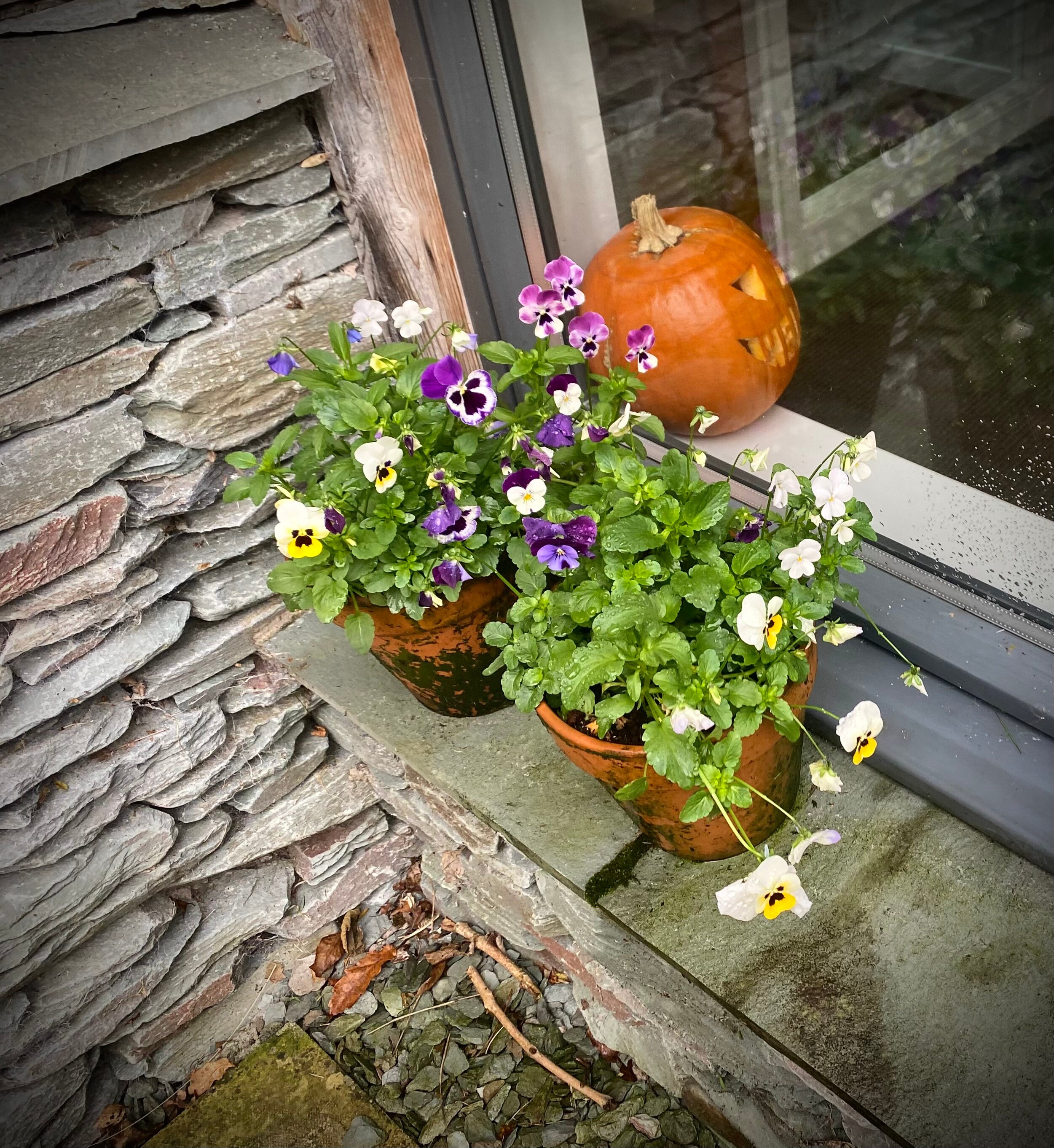 The Lodge in The Vale-浴室