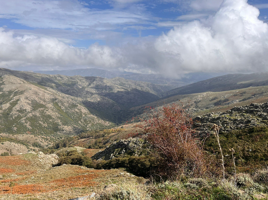 Bruncu Spina Et Punta Lamarmora-Desulo必去景点
