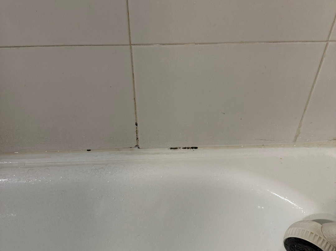 Apartamentos Gavina d'Or主图