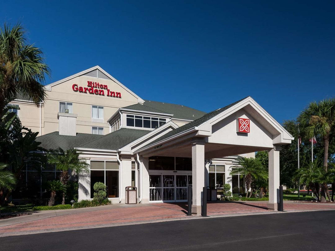 麦卡伦酒店住宿-Hilton Garden Inn McAllen Airport