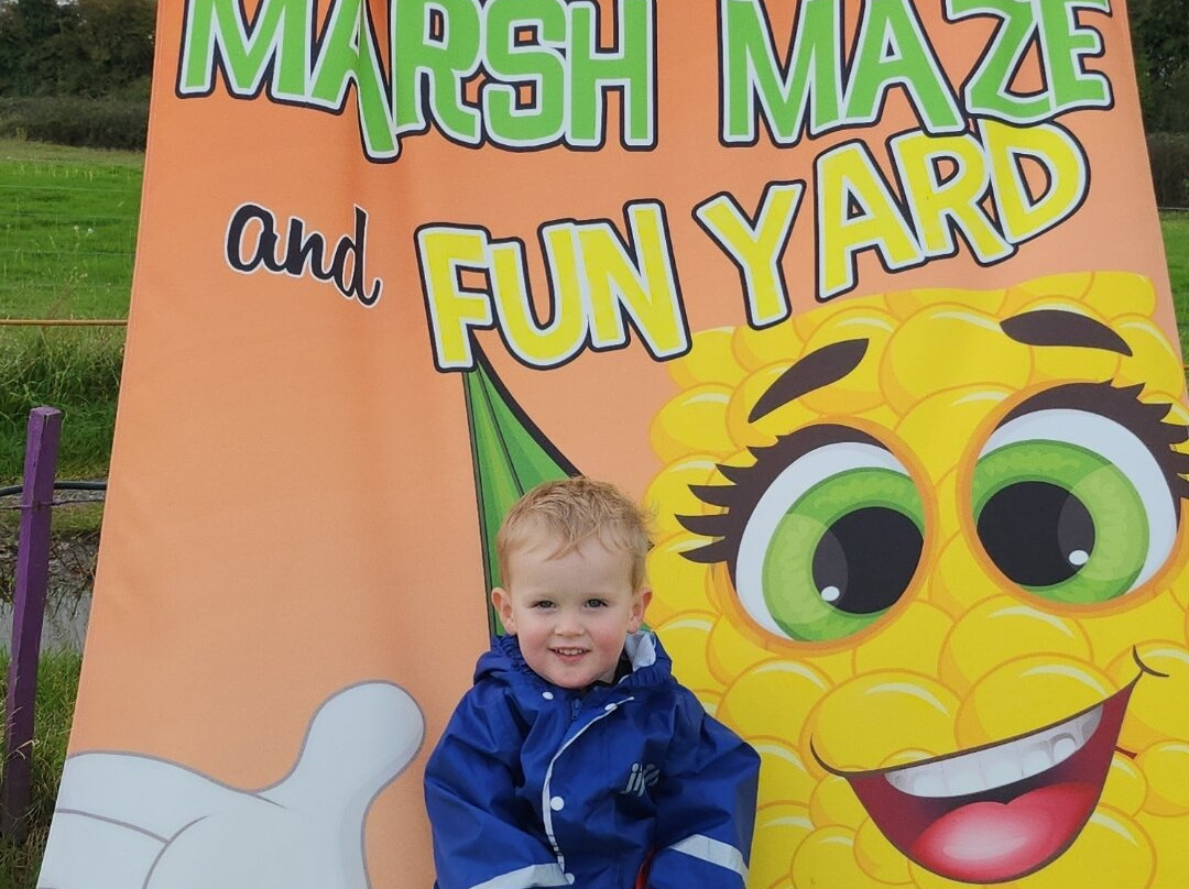 Marsh Maze And Fun Yard, Dymchurch Kent景点图片