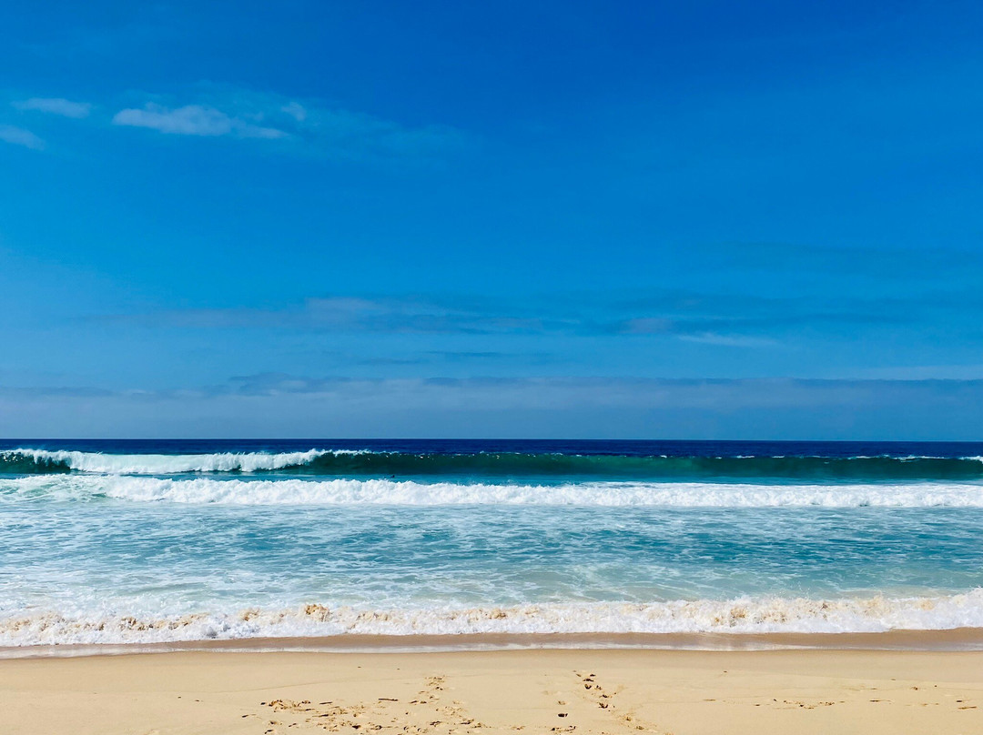 Comporta Beach景点图片