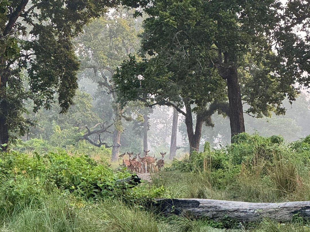 Hotel Rhino Land主图