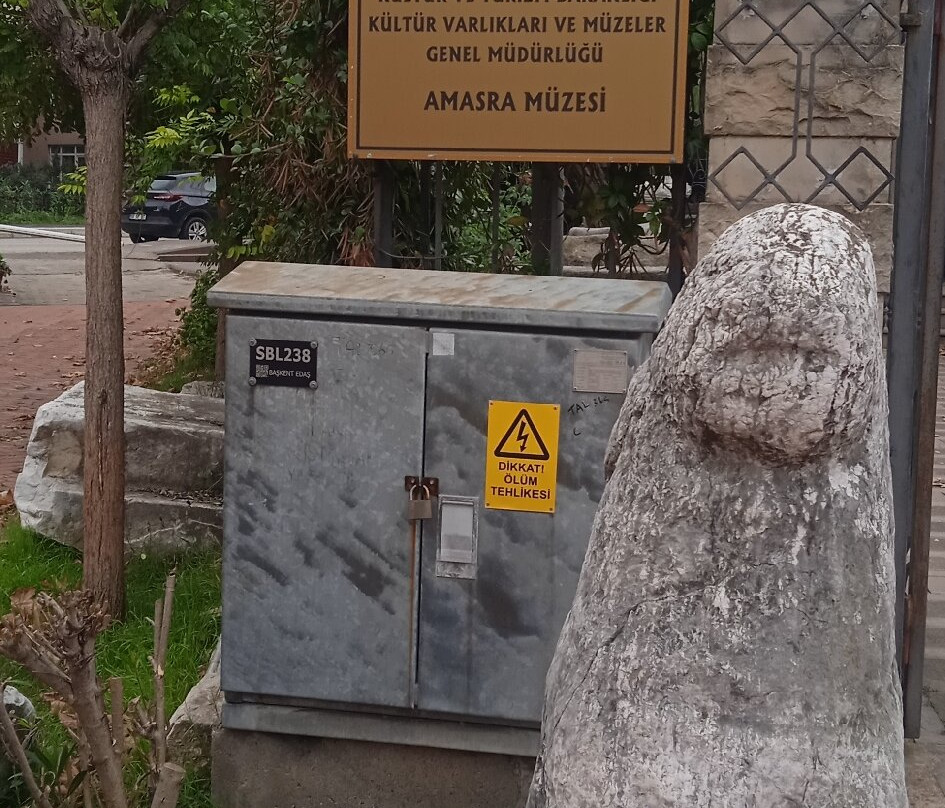 Amasra Museum景点图片