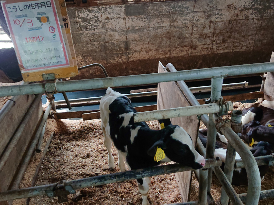 Enomoto Diaryfarm-上尾市必去景点