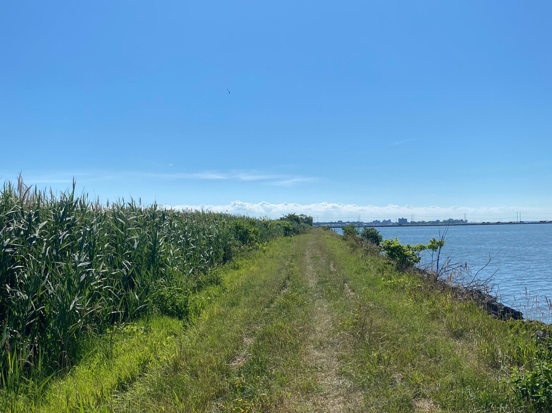 Pipe Creek Wildlife Area-桑达斯基必去景点