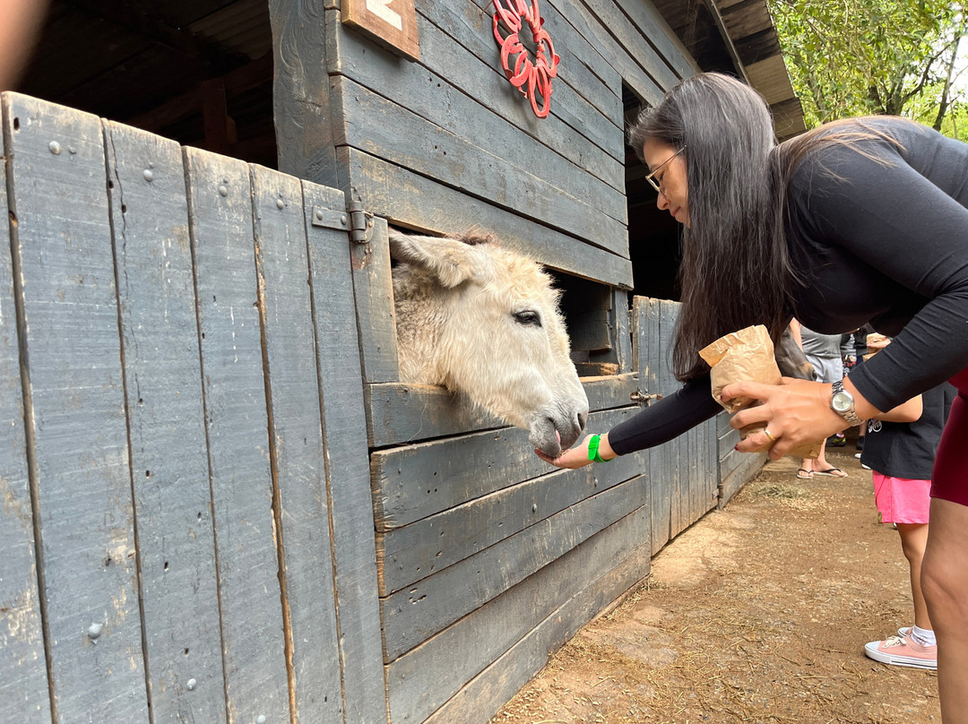 Hotel Fazenda Terra Dos Sonhos主图