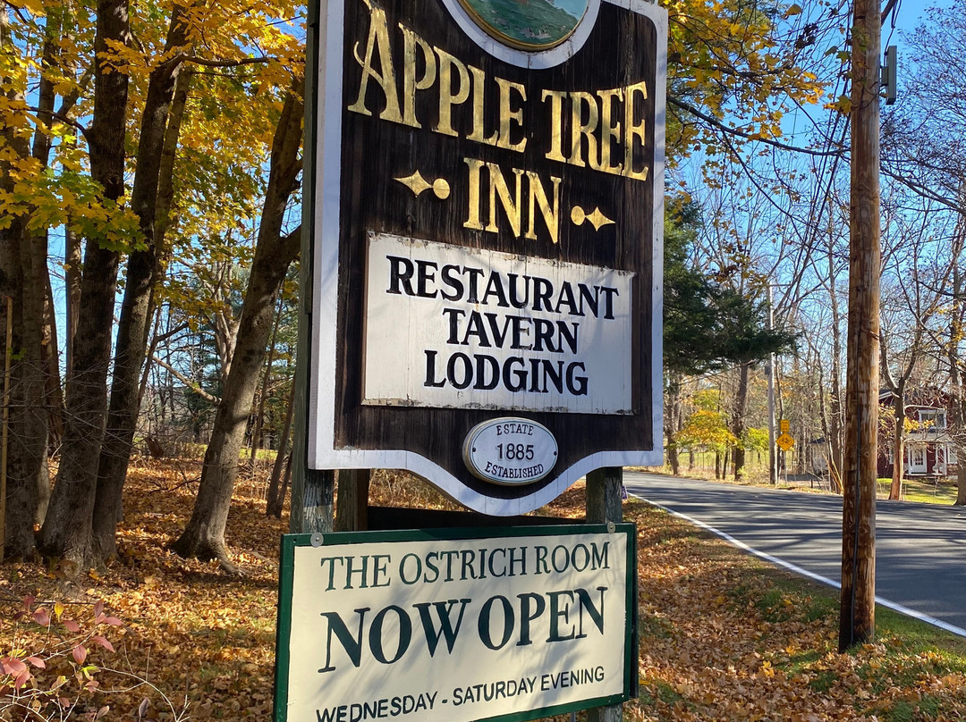 Apple Tree Inn主图