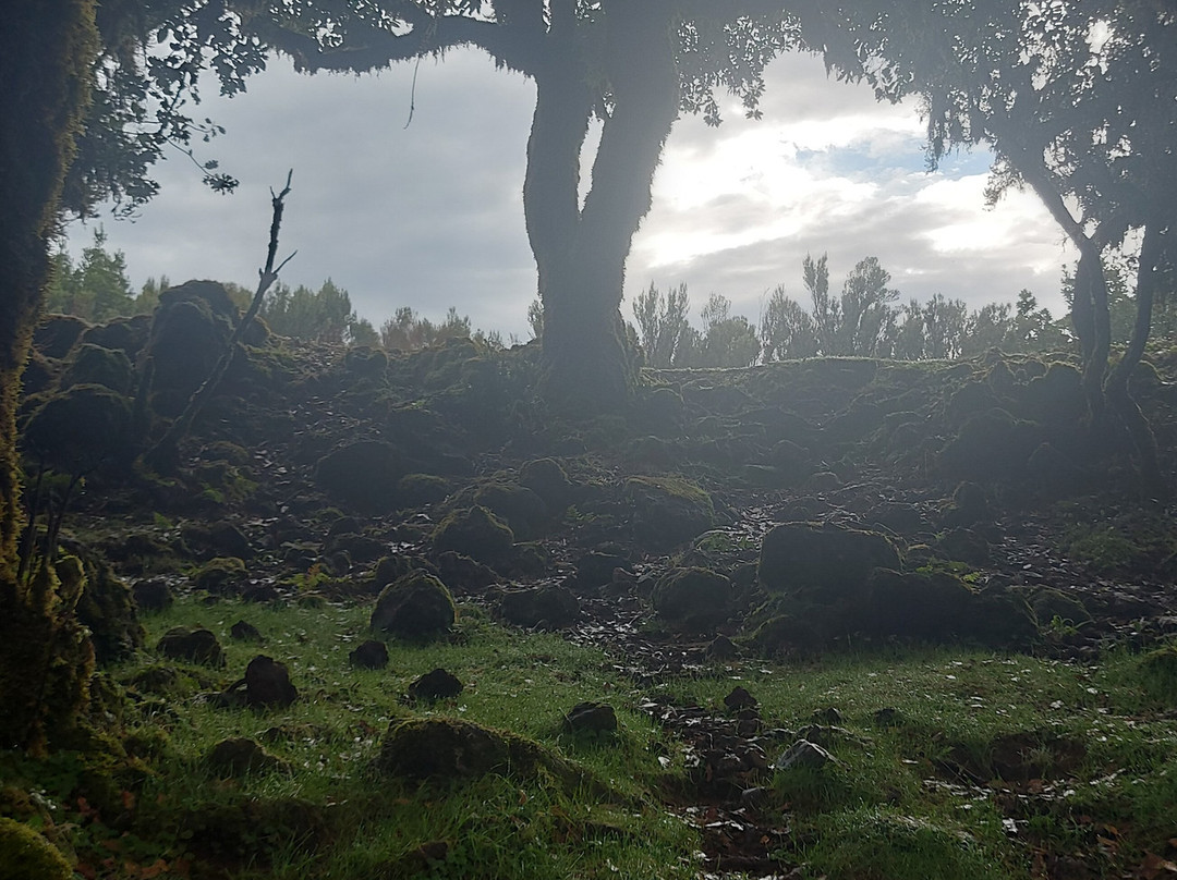 Green Devil Safari-沙尔必去景点