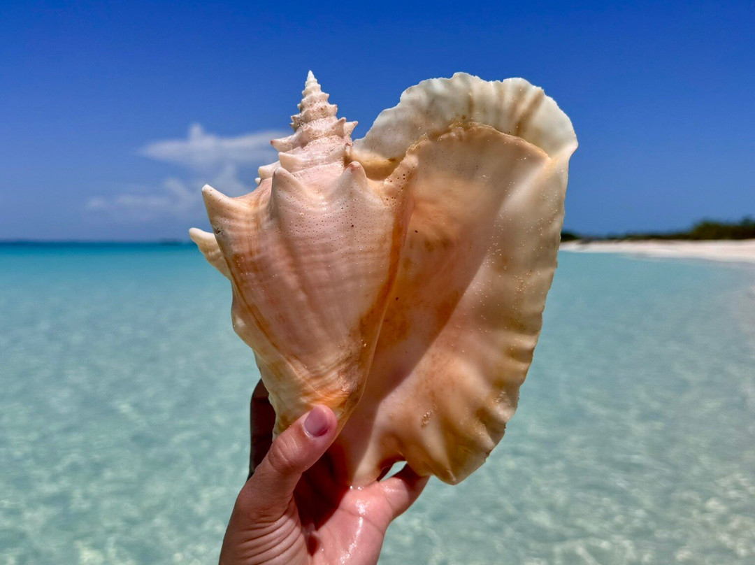 Playa Mal Tiempo景点图片