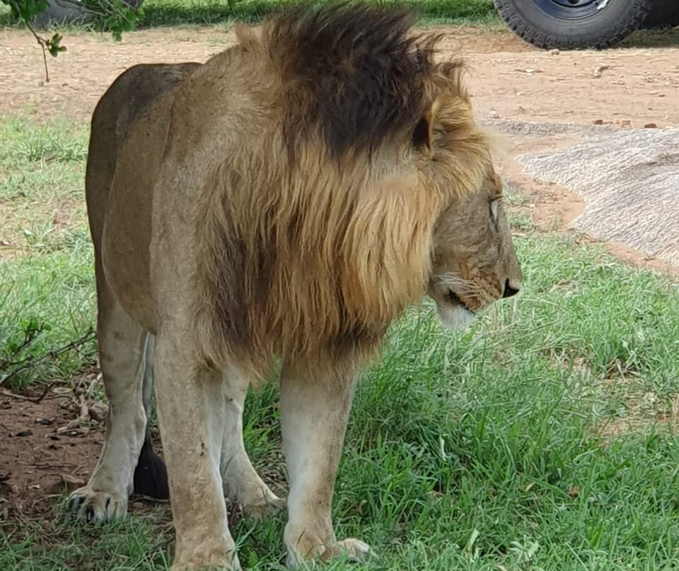 Elara luxury Safaris-蒙巴萨必去景点