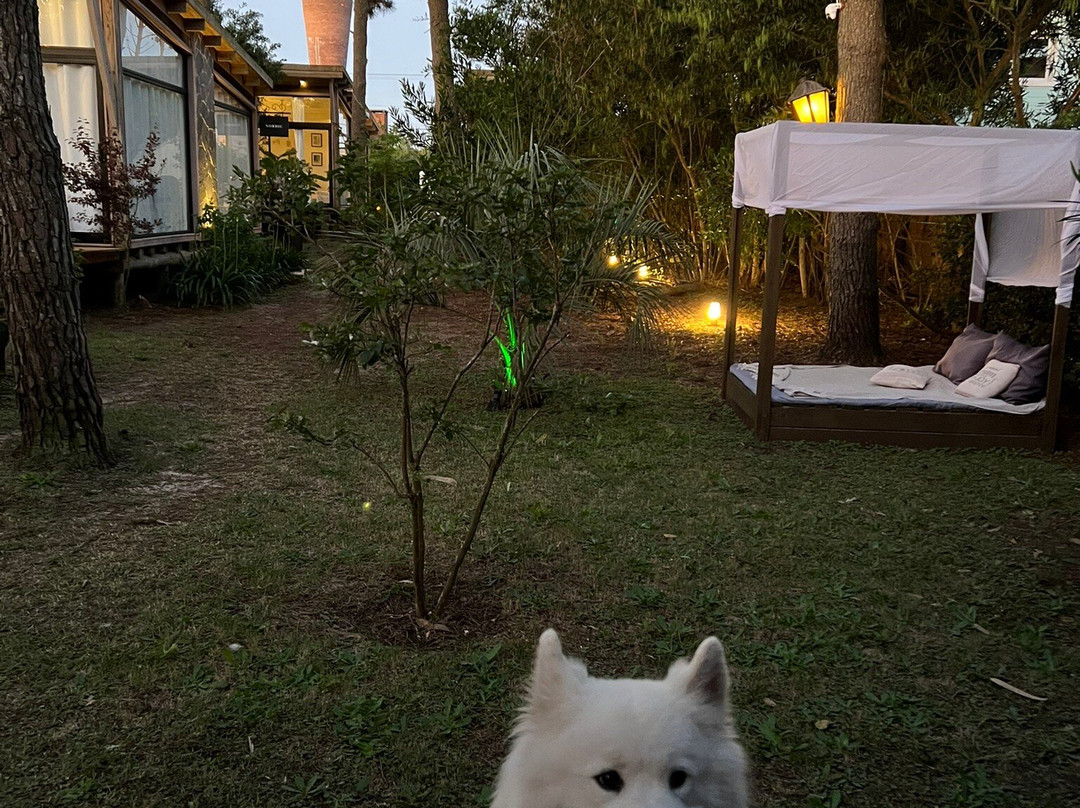 Bella Bungalows主图