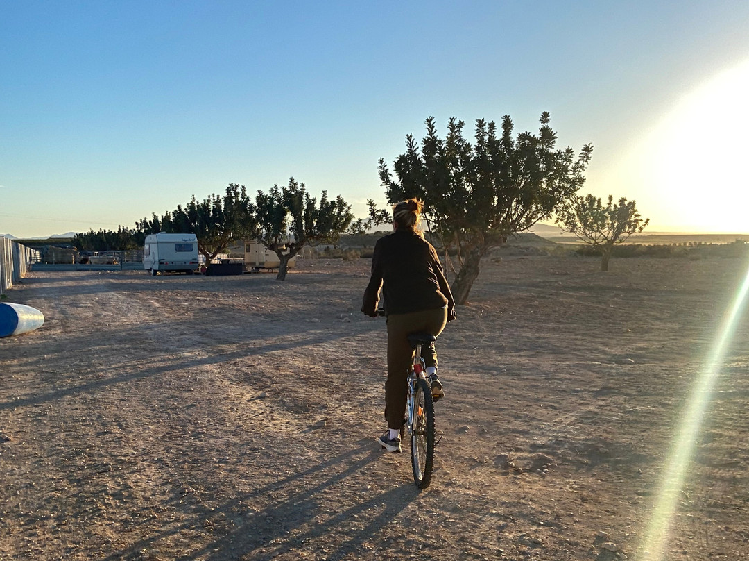 Rancho Cavalli-Alhama de Murcia必去景点