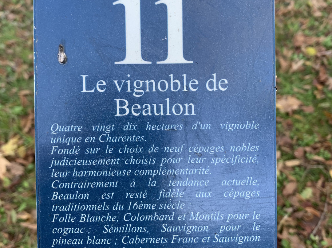 Chateau de Beaulon景点图片