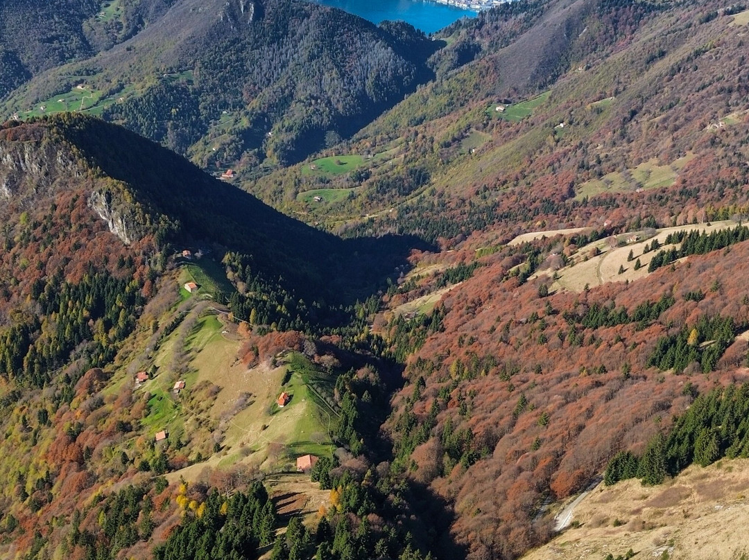 Bosco degli Gnomi景点图片
