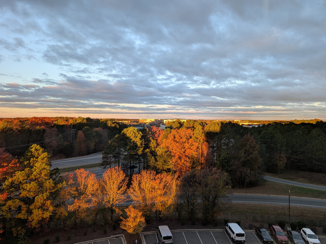 Drury Plaza Hotel Richmond主图