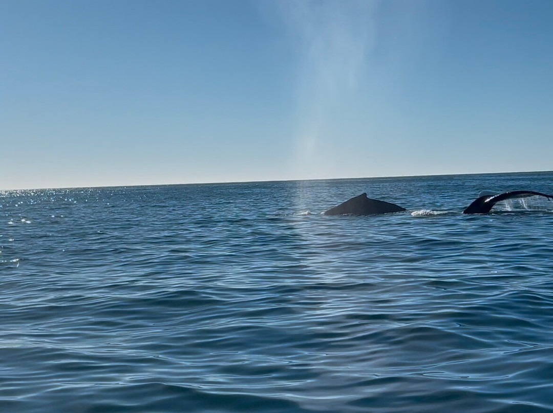 Baja Wild Adventures