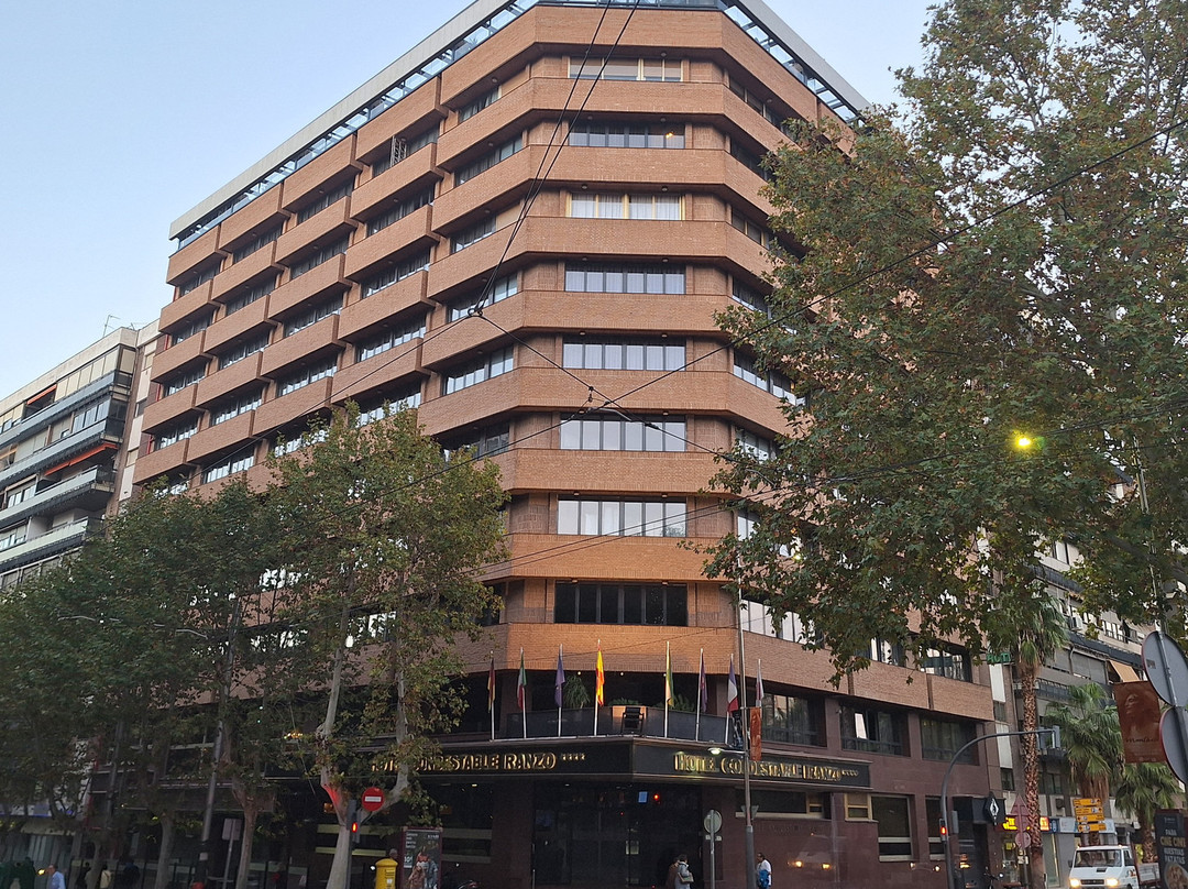 Hotel Condestable Iranzo主图