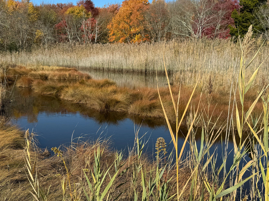Gardiner County Park-Bay Shore必去景点