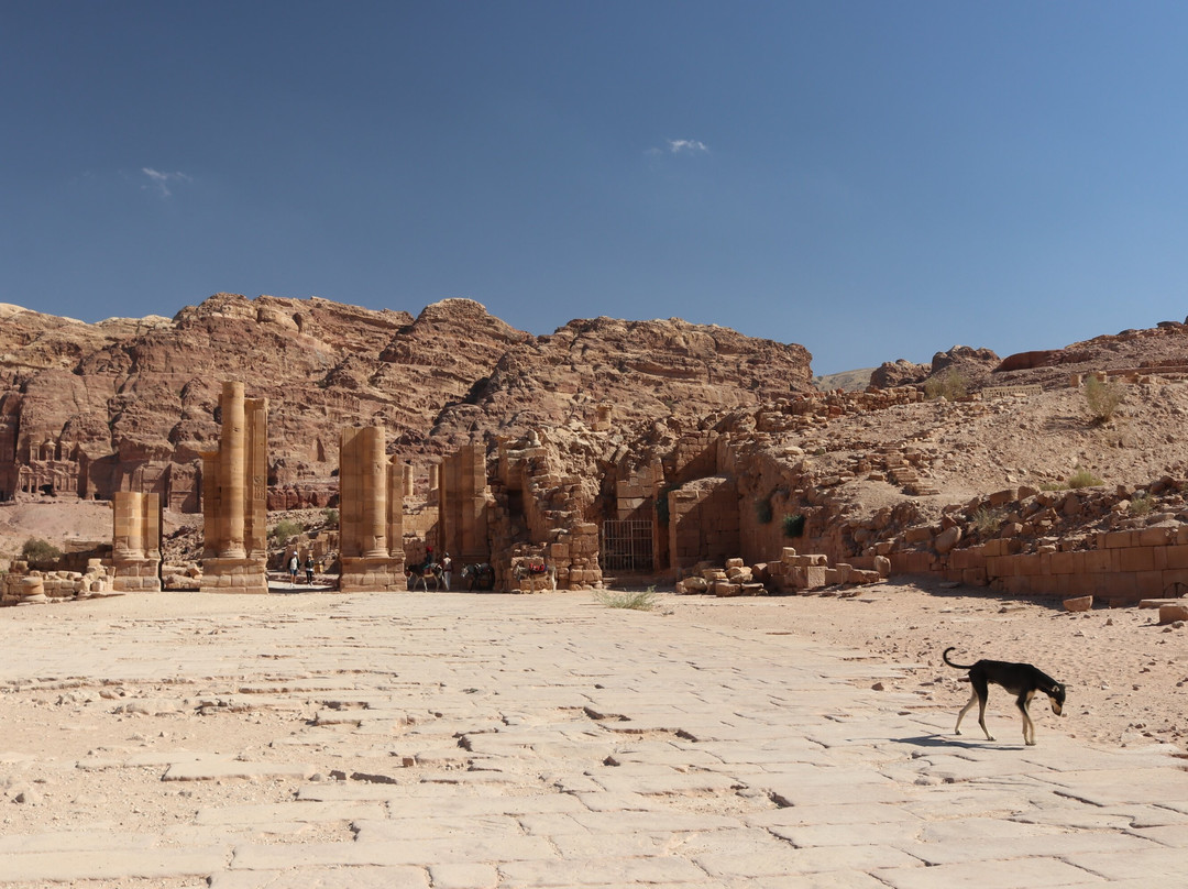 Temenos Gateway-佩特拉必去景点