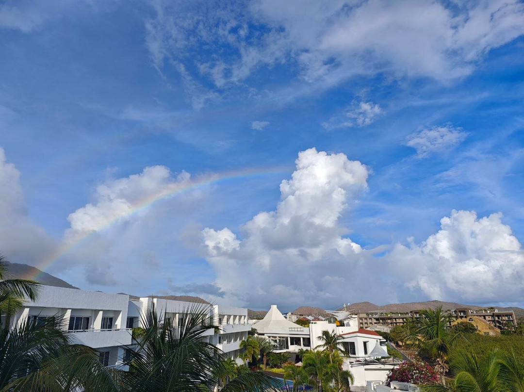 LD Plus Palm Beach主图