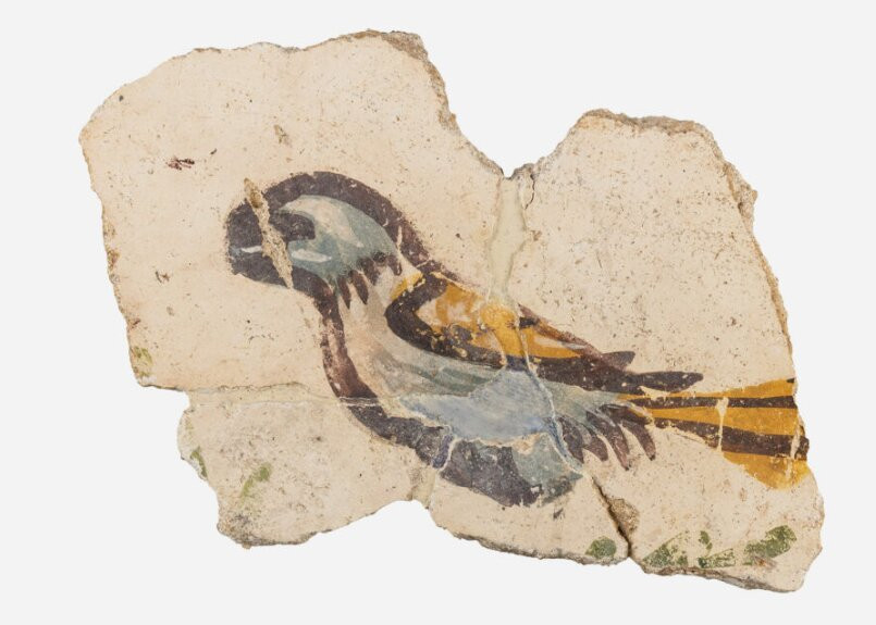 MARQ Museo Arqueologico de Alicante景点图片