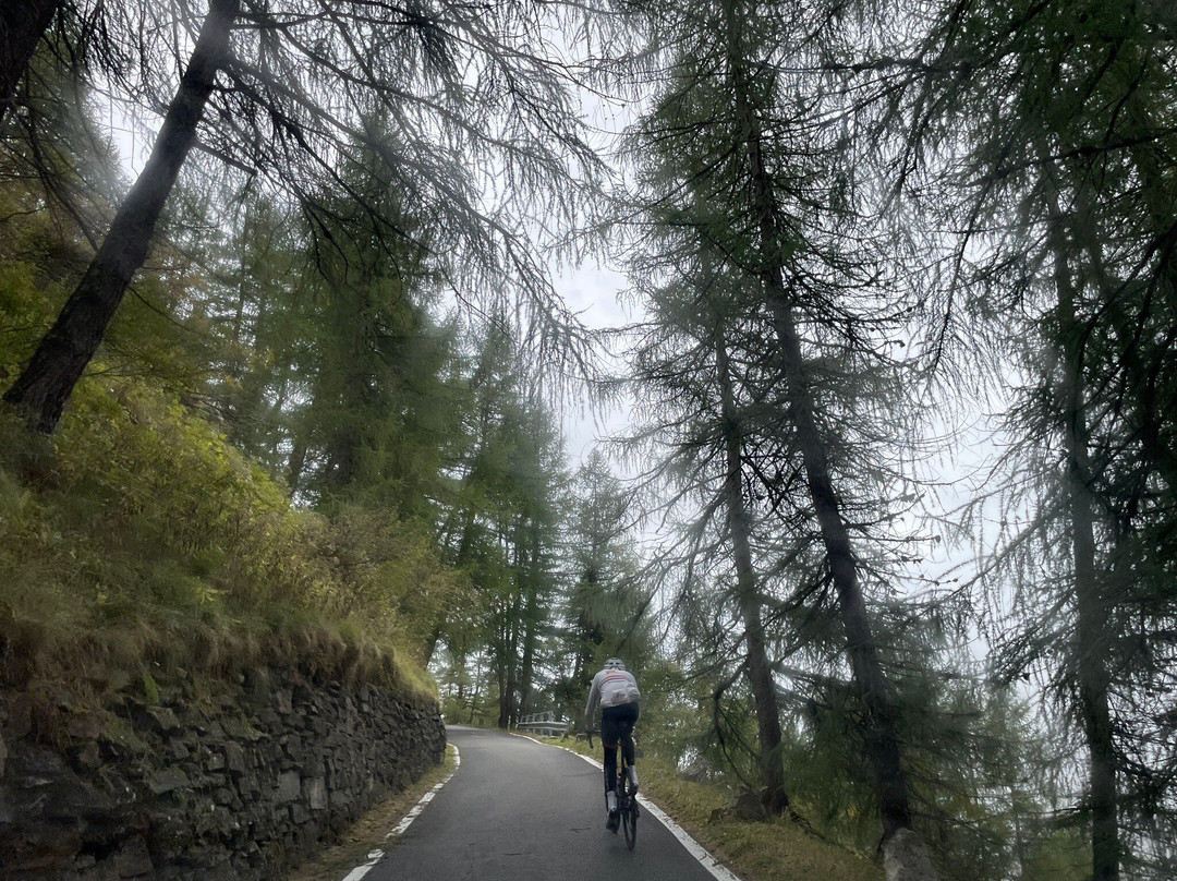 Passo di Gavia-Valfurva必去景点