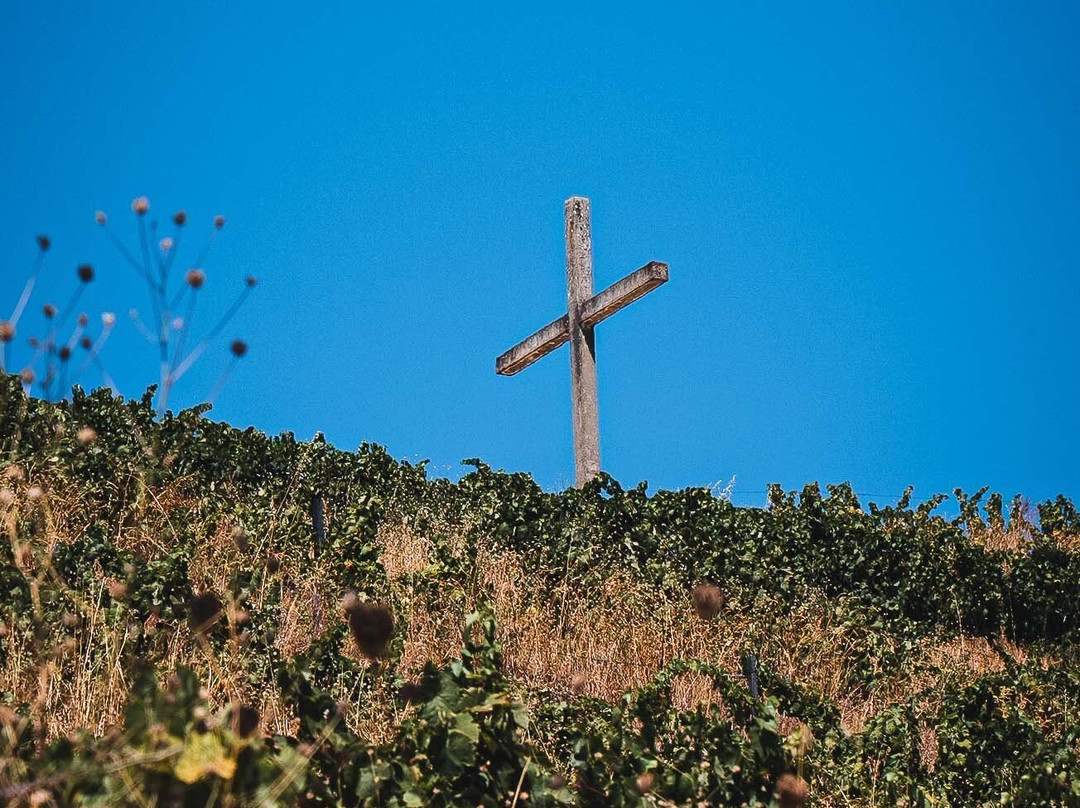 Quinta Da Pedra Alta景点图片