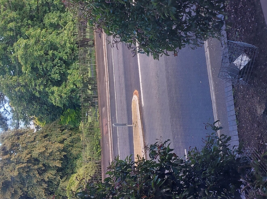 Parklane Motel主图