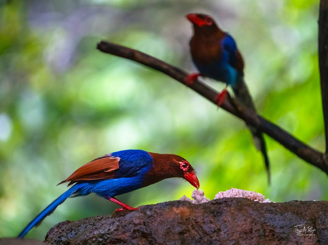 Exotic Adventures-Delgoda必去景点