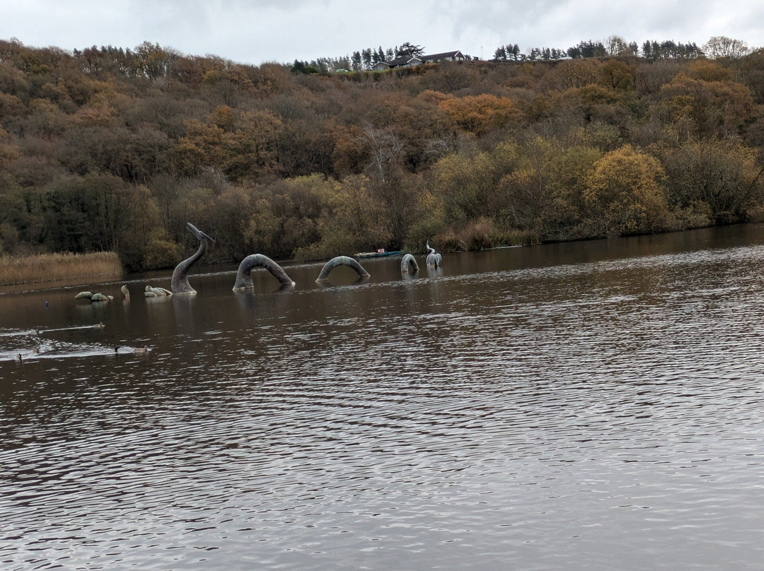 Llandrindod Wells Lake Park景点图片