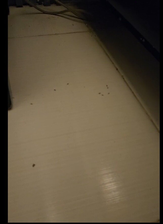 Hotel Santa Clara-客卧