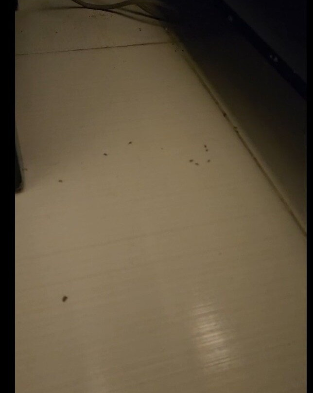 Hotel Santa Clara主图