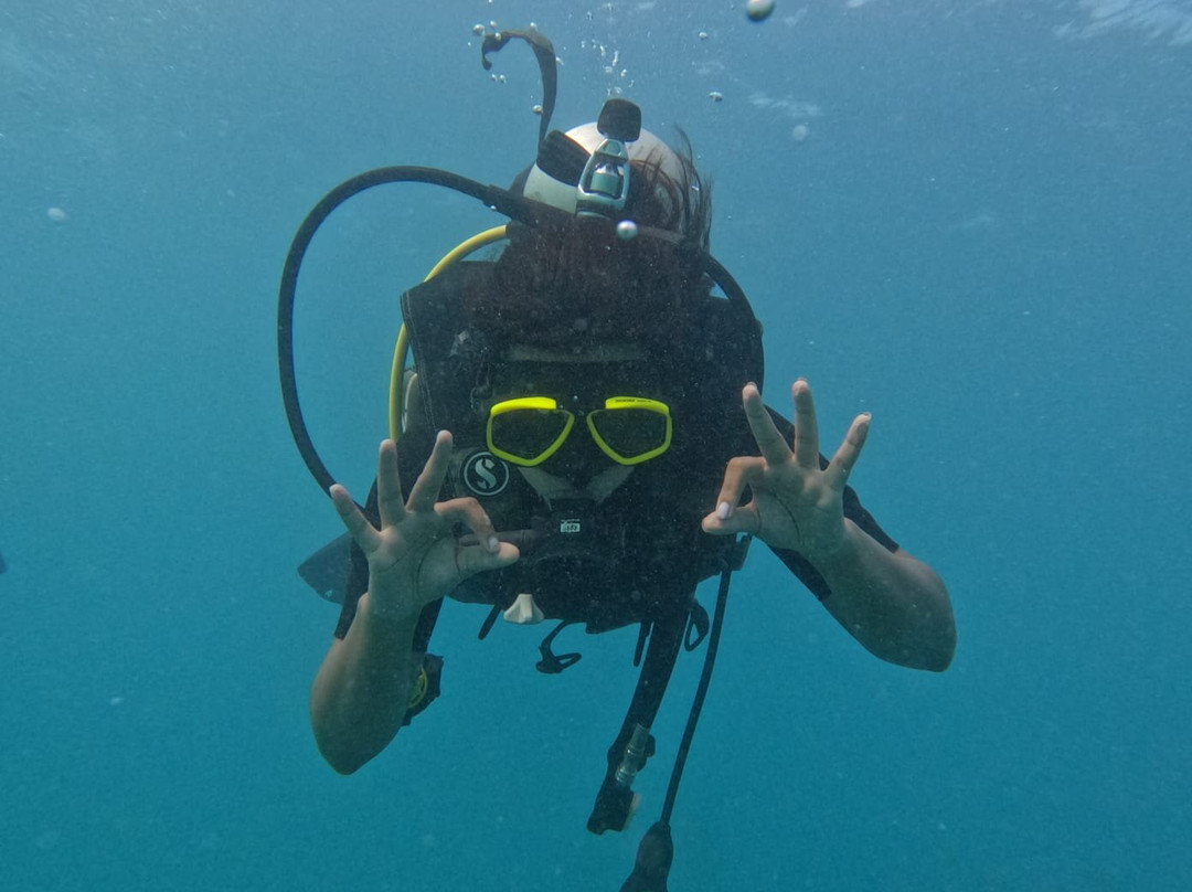 Turquoise Dream | PADI Dive Centre景点图片