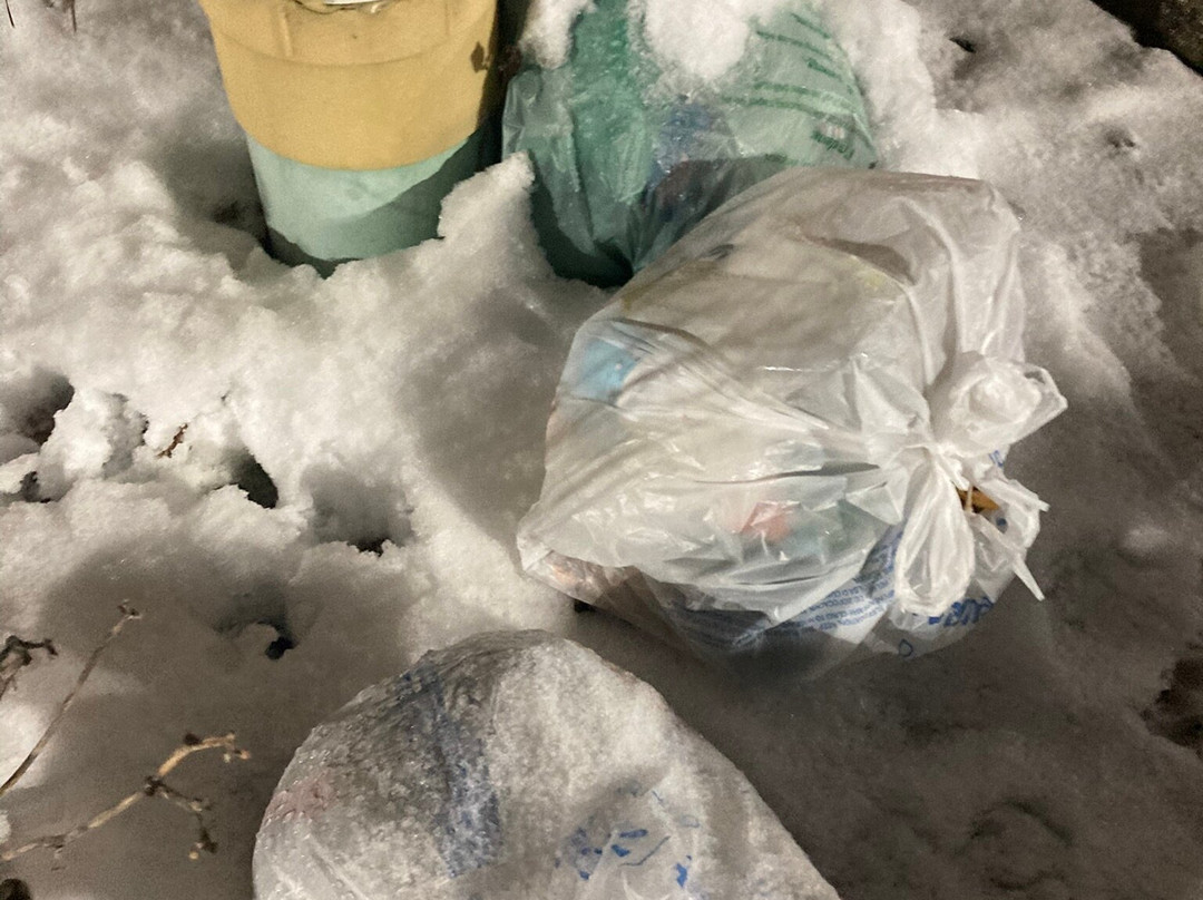 Residence Inn by Marriott Lansing West主图