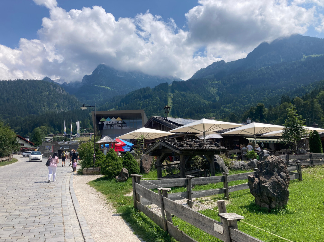 Jennerbahn景点图片