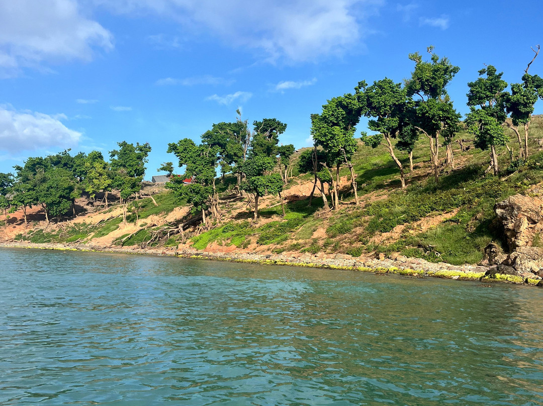 Barefoot Travelers Kayak Tour to Monkey Island景点图片
