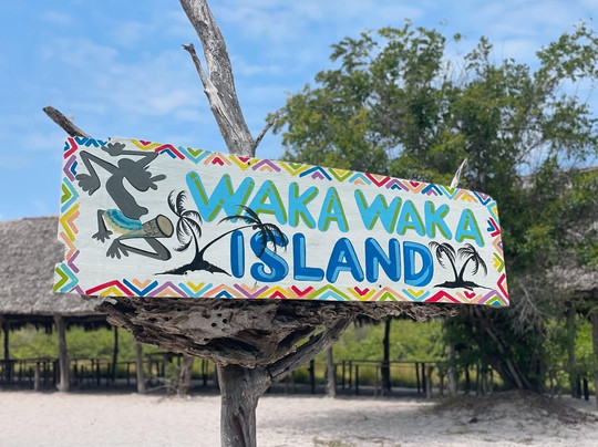 Dolphin Tours Watamu-瓦塔木必去景点