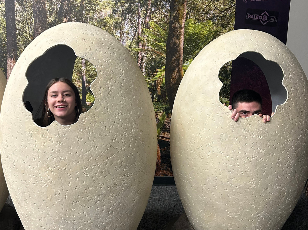 Boonshoft Museum of Discovery-代顿必去景点