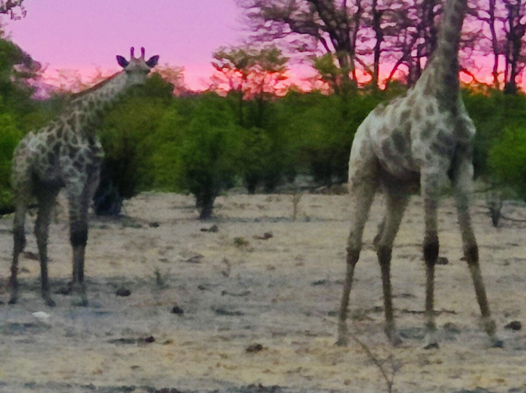 Leon Safaris-卡萨尼必去景点