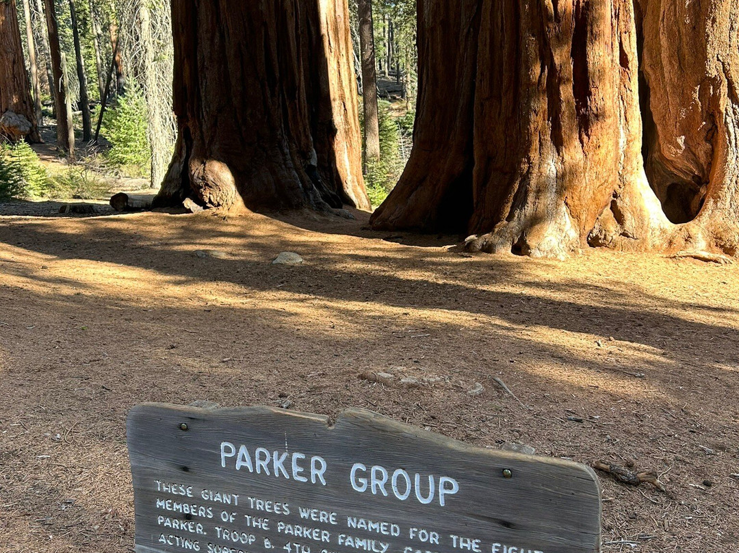 The Parker Group-红杉&国王峡谷国家公园必去景点